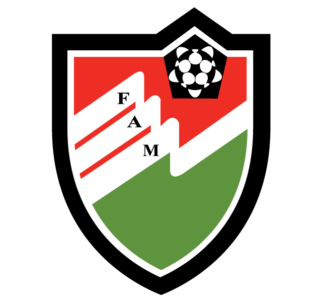 maldives afc primary 1986-pres logo DTF transfer for t shirt